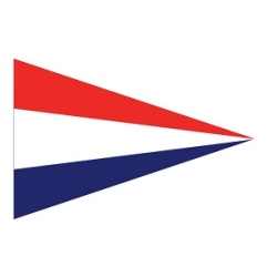 Nederlandse puntvlag 20x30 cm
