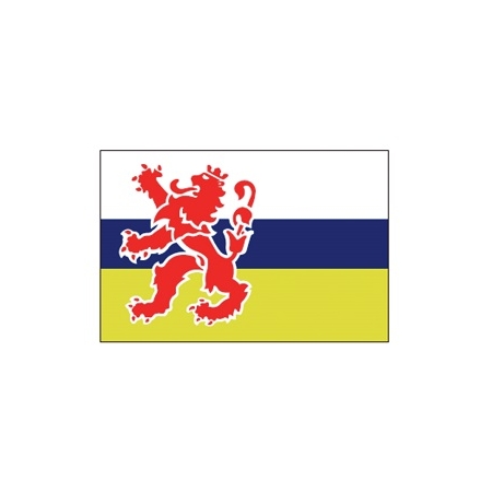 Provincievlag Limburg 20x30 cm