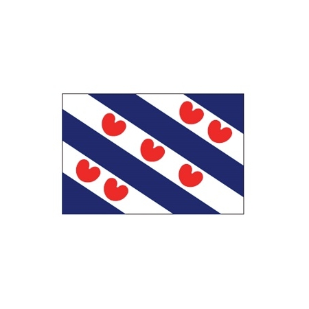 Provincievlag Friesland 20x30 cm