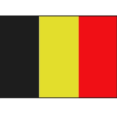 Belgische vlag Vlag België 30x45 cm