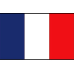 Franse vlag Vlag Frankrijk 20x30 cm