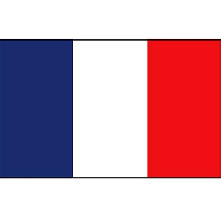 Franse vlag Vlag Frankrijk 20x30 cm